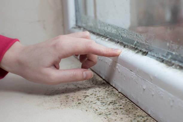Best Air Quality Testing for Mold Spores  in Monroe North, WA