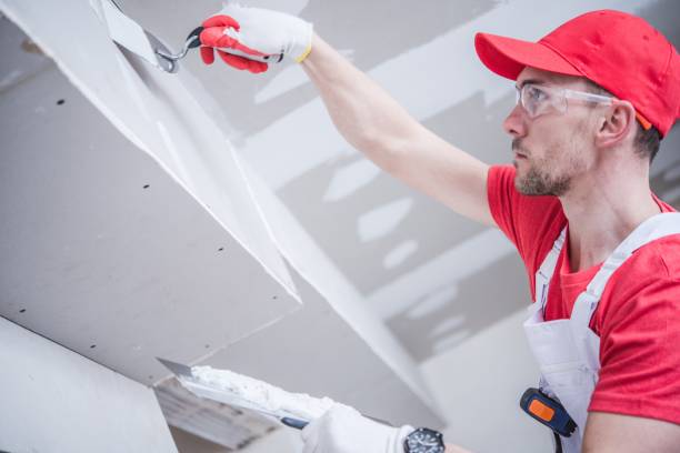 Best Mold Damage Restoration  in Monroe North, WA