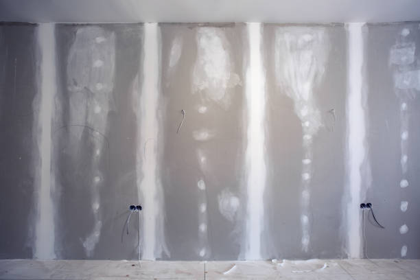 Best Emergency Mold Remediation  in Monroe North, WA